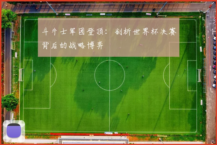 斗牛士军团登顶：剖析世界杯决赛背后的战略博弈